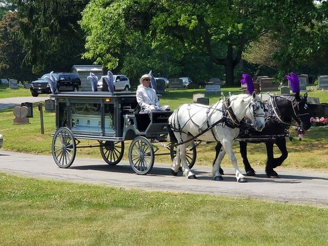 Horse Drawn Funeral Hearse
