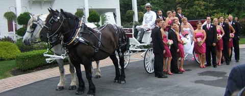Wedding Horse Drawn Carriage