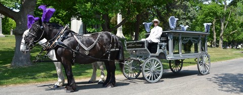 Horse Drawn Glass Enclosed Hearse