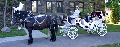 Horse Drawn Wedding Carriage